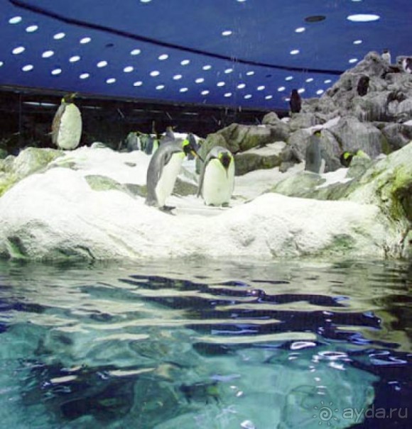 Волшебный дворец диснеевского Алладина.)))