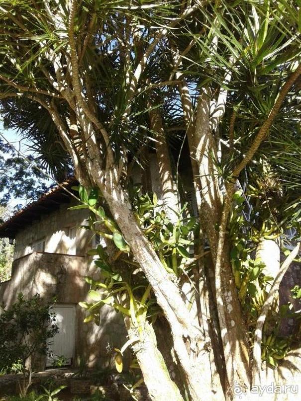 батанический сад Сороа