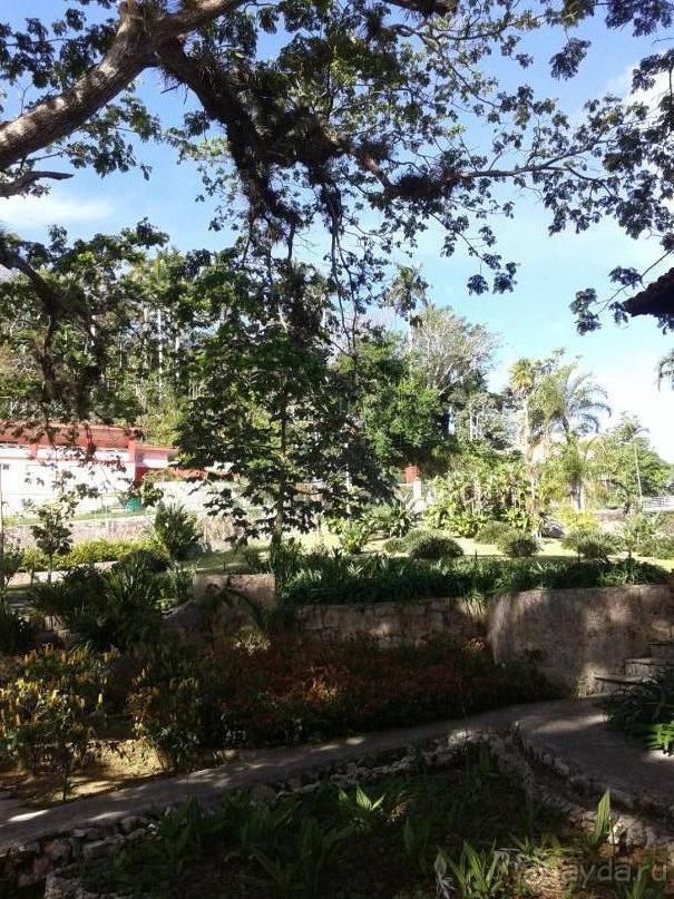 батанический сад Сороа