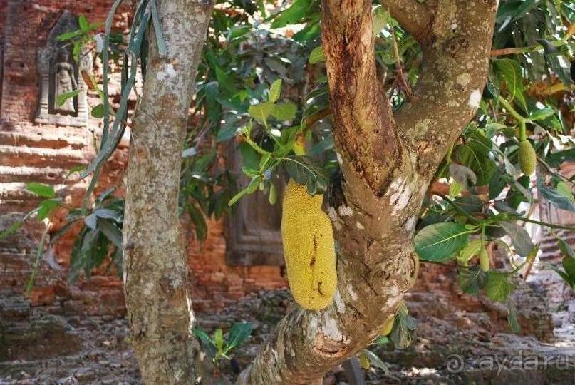 О Вьетнаме и Камбодже - как посетить самостоятельно