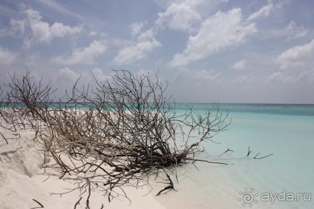 фото Holiday Island Resort