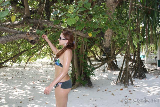 фото Holiday Island Resort