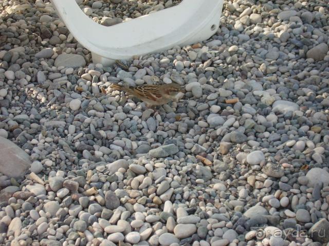 мусор на пляже