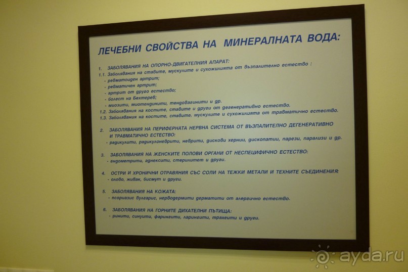 Свойства источника Сапарева Баня