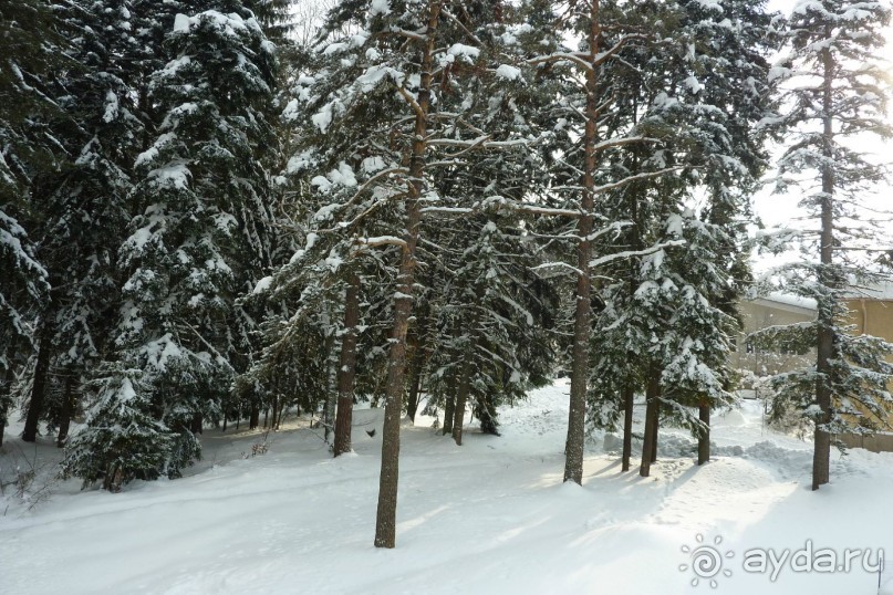 Альбом рассказа "Боровец Radina`s Way 4* "