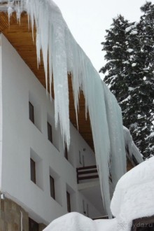 Альбом рассказа "Боровец Radina`s Way 4* "