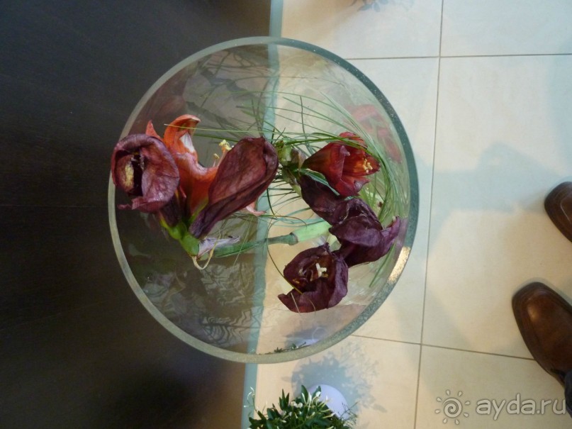 В холле отеля