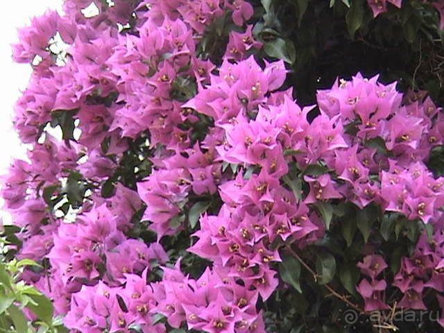 Нам понравилось