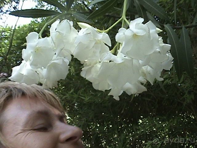 Нам понравилось