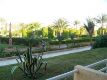 Качественный отдых в отеле с красивой територией!