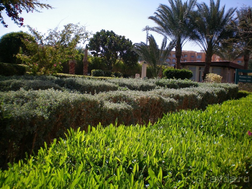 Качественный отдых в отеле с красивой територией!