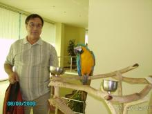 Потерянное время и деньги