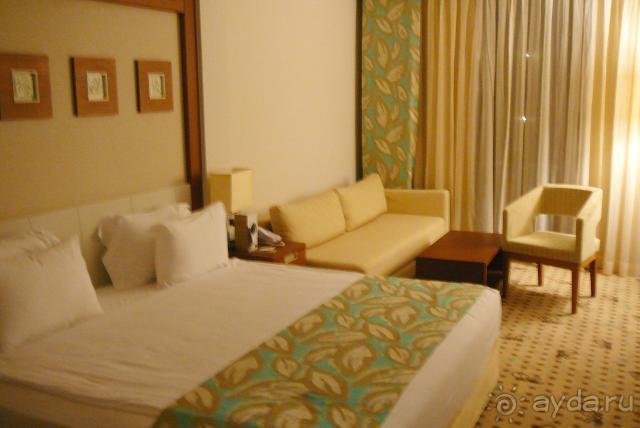 Наш номер (1)