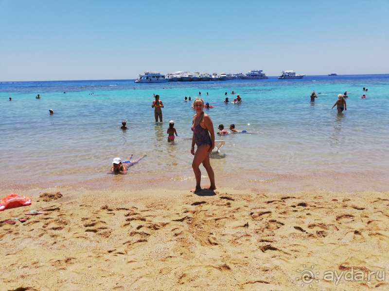 В Египет из России через Киев. Август 2019