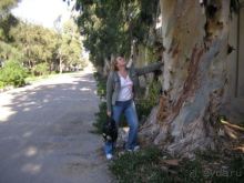 Вполне достойно.Можно рекомендовать друзьям.