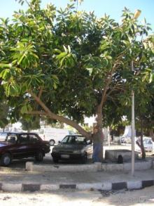 Вполне достойно.Можно рекомендовать друзьям.