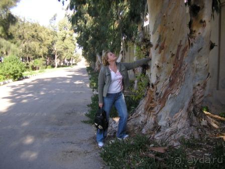 Вполне достойно.Можно рекомендовать друзьям.