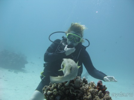 Вполне достойно.Можно рекомендовать друзьям.