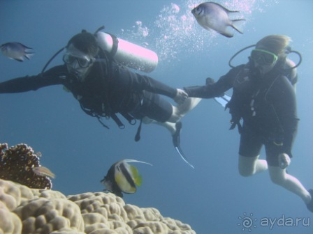 Вполне достойно.Можно рекомендовать друзьям.