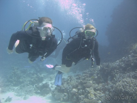 Вполне достойно.Можно рекомендовать друзьям.