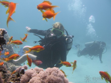 фото Jasmin Plaza