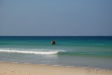 Отель утопает в зелени .