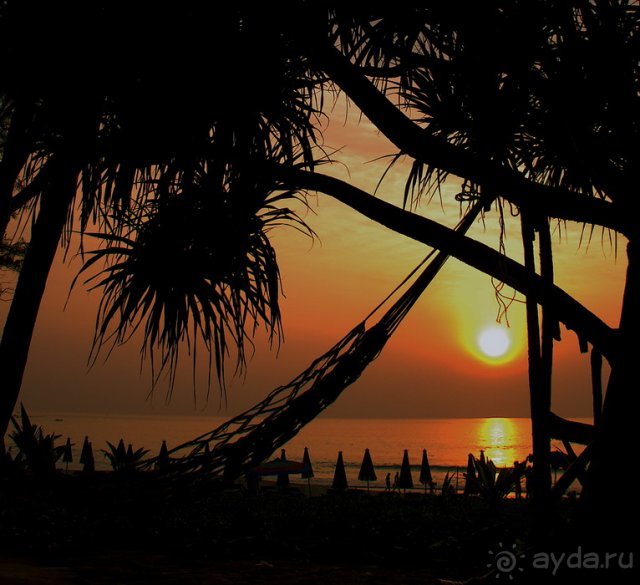 фото Phuket Orchid Resort & Spa