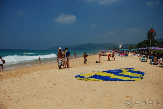 Отель утопает в зелени .