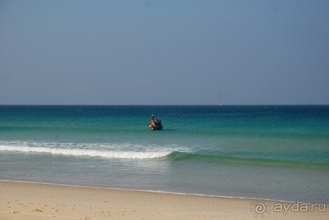 Отель утопает в зелени .