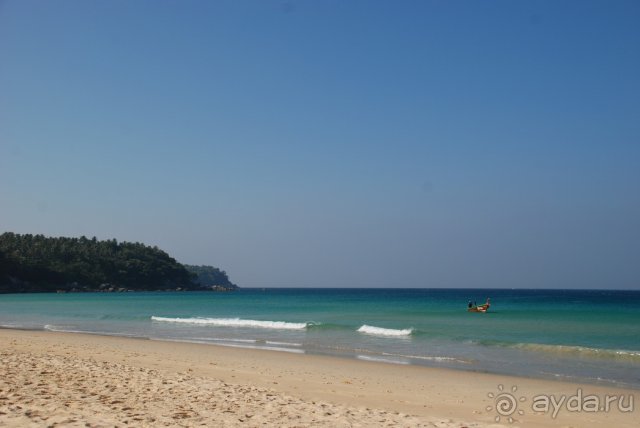 Отель утопает в зелени .