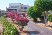 фото Concorde El Salam 