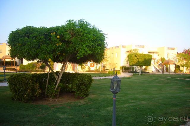 Замечательный отдых в Concorde!!!