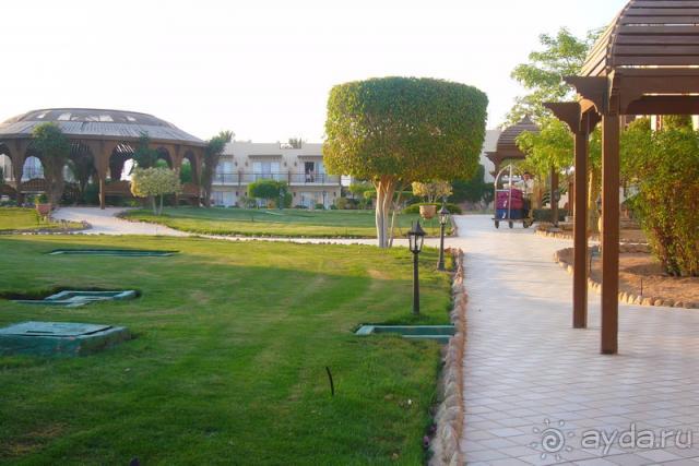 Замечательный отдых в Concorde!!!