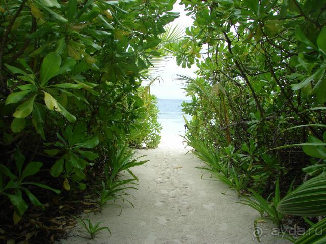 Нет слов, одни эмоции!!! 