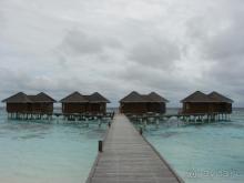 Нет слов, одни эмоции!!! 