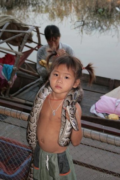 Уютное место , без шика, но достойно!