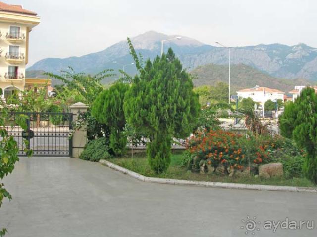 Нормально, бачили очи, шо куповалы...