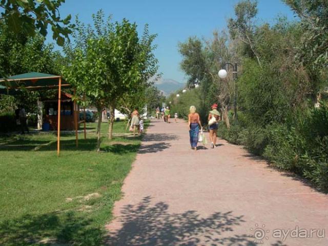 Нормально, бачили очи, шо куповалы...