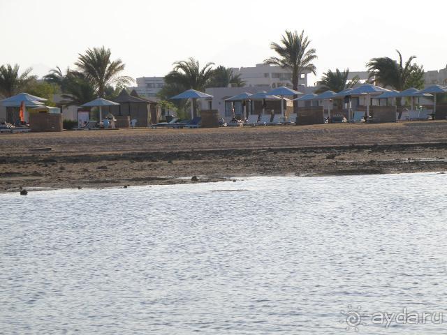 Лежать у бассейна и есть, есть, есть....