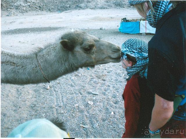 фото Sunrise Diamond Beach Resort 