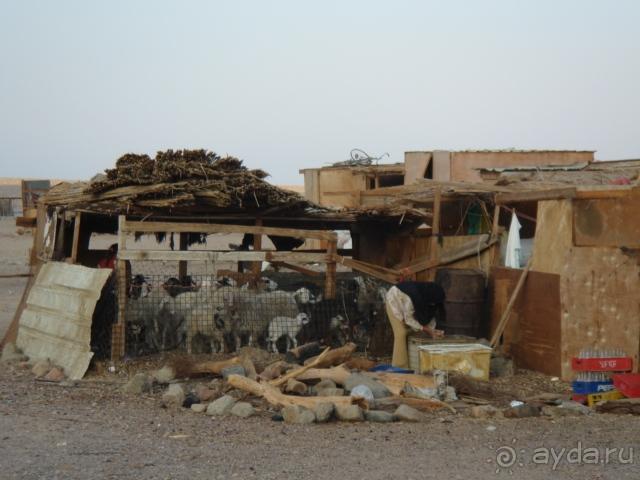 фото Sunrise Diamond Beach Resort 