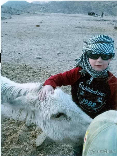 фото Sunrise Diamond Beach Resort 