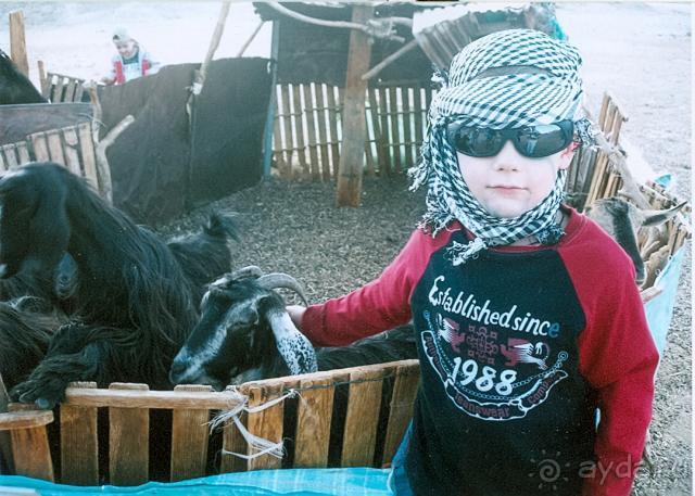 фото Sunrise Diamond Beach Resort 