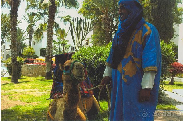 Caribbean Village Allegro