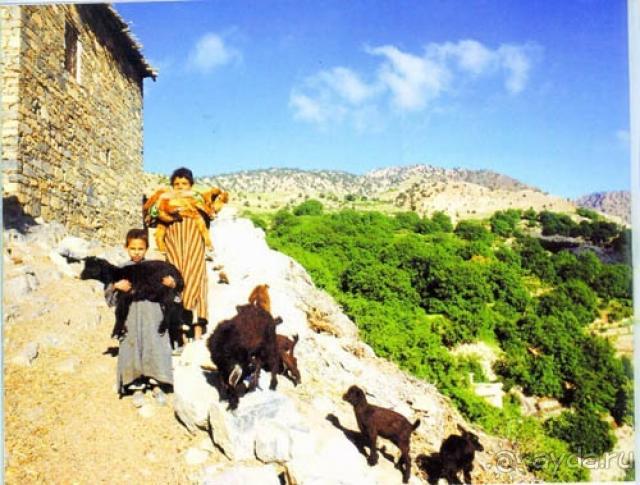 Caribbean Village Allegro