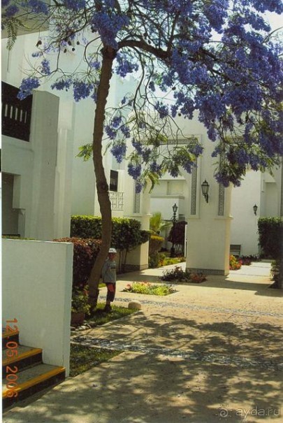 Caribbean Village Allegro