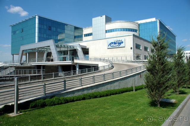 фото Athene Neos