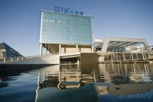 фото Athene Neos