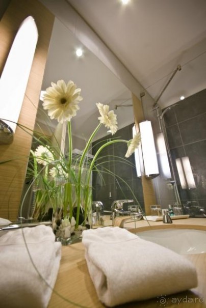 фото Athene Neos