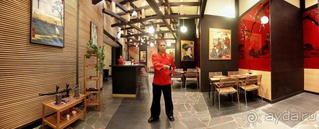 фото Athene Neos